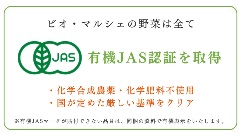テキスト画像